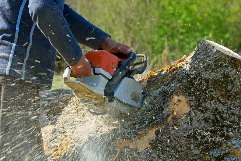 Top-rated Tree Pruning Luray VA Top-rated Tree Pruning Luray VA